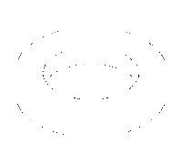 Dornbracht Anneau 55x10 platine mat 092810035-06 092810035 D. 55 x D. 38,6 x 10 mm platine