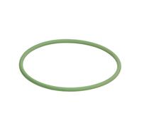 Bague en caoutchouc BOSCH F 00R 0P1 106