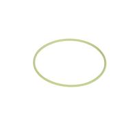 Bague en caoutchouc BOSCH F 00R 0P1 255