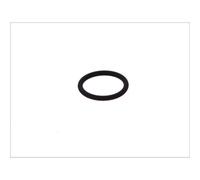 Bague en caoutchouc BOSCH F 00R J00 534