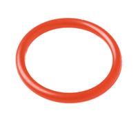 Bague-O LUNT pour les syntoniseurs de pression des télescopes solaires LS50tha