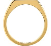 BAGUE SECTOR BASIC - SZS164019