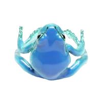 Bagues Grenouille Cool Bijou Nature Réglable En Forme De Grenouille