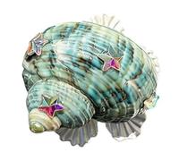 Bagues vintage avec un design complexe d ' escargots et de coquillages Bijoux de mer vintage parfaits pour les amoureux de la plage Bagues bohèmes en coquille d ' escargot
