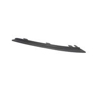 Baguette / bande protectrice, pare-chocs BLIC 5703-05-5025921Q gauche