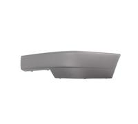 Baguette / bande protectrice, pare-chocs BLIC 5703-05-5076923P gauche