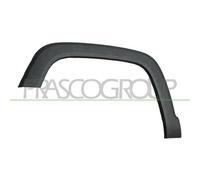 Baguette Et Bande Protectrice Aile Prasco JE1001582 pour Jeep Avant Gauche