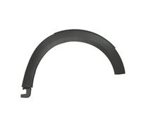 Bande de protection d'aile avant droite noir 5703-08-4002378P BLIC pour MINI