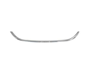 Baguette et bande protectrice, grille de radiateur BLIC 6502-07-2030993P