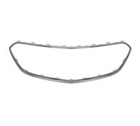 Baguette et bande protectrice, grille de radiateur BLIC 6502-07-5029912P