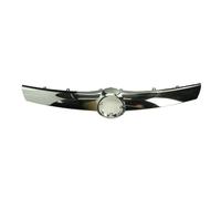 Baguette et bande protectrice, grille de radiateur BLIC 6502-07-5033991P