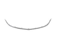 Baguette et bande protectrice, grille de radiateur BLIC 6502-07-5053992P