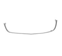 Baguette et bande protectrice, grille de radiateur BLIC 6502-07-5078992P