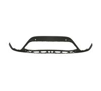 Baguette et bande protectrice, grille de radiateur BLIC 6502-07-5079991P