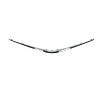 Baguette et bande protectrice, grille de radiateur BLIC 6502-07-8156210Q