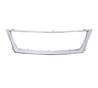 Baguette et bande protectrice, grille de radiateur BLIC 6502-07-8171993P