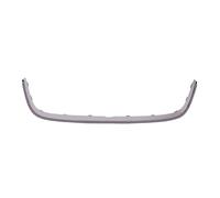 Baguette et bande protectrice, grille de radiateur BLIC 6502-07-9568997P