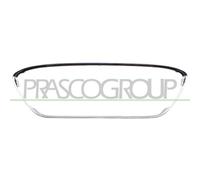 Baguette Et Bande Protectrice Grille De Radiateur Prasco FD3442305 pour Ford