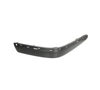 Baguette et bande protectrice, pare-chocs avant droit BLIC 6502-07-3527926P