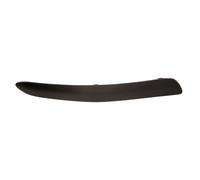BLIC 5513-00-1632922P Bandeau pare-choc