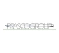 Baguette Et Bande Protectrice Pare Chocs Prasco RN7001453 pour Renault