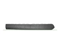 Baguette Et Bande Protectrice Porte Prasco FT9101453 pour Fiat Arrière Droite