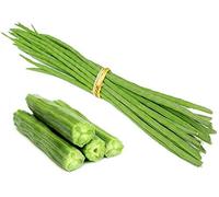 Baguettes de batterie Moringa en gousses de Moringa 500 g - Légumes frais - Idéal pour currys, sambar et soupes - Riche en nutriments - Cuisine indienne avec autocollants Kajal