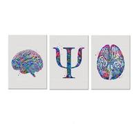Baibexing Affiche Médicale Avec Symbole De Psychologue, Aquarelle, Psychose Cérébrale, Art Mural, Psychothérapie, Peinture Sur Toile, Décoration Murale Clinique 50X70Cmx3Pcs Sans Cadre