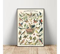 Baibexing Affiche Vintage D'Histoire Naturelle Avec Oiseaux Et Animaux, Peinture Sur Toile, Décoration Murale Pour Bureau, Maison 60X90Cm Sans Cadre