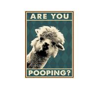 Baibexing Affiche Vintage Lama Are You Poo, Drôle Et Mignon, Décor De Salle De Bain, Peinture Sur Toile D'Art Mural, Cadeau De Toilette, Imprimés D'Images D'Alpaga 30X40Cm Sans Cadre