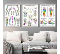 Baibexing Anatomie Des Points De Déclenchement, Tableau De Réflexologie Plantaire, Affiche D'Étude, Art Mural, Peinture Sur Toile, Photo, Cadeau, Décoration D'Intérieur 40X60Cmx3Pcs Sans Cadre