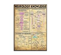 Baibexing Connaissances En Neurologie, Neurosciences, Art Neurologique, Affiche Vintage Imprimée Sur Toile Représentant Le Cortex Cérébral, Art Mural 40X60Cm Sans Cadre