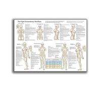 Baibexing Huit Méridiens, Affiches De Méridiens, Schémas Anatomiques, Art Médical, Impressions D'Art Des Méridiens Du Corps Humain, Affiches Décoratives 50X70Cm Sans Cadre