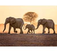 Baibexing Peinture Murale Vintage Avec Éléphants Et Coucher De Soleil, Paysage Animalier Sauvage, Affiches Et Impressions Sur Toile, Décoration D'Intérieur, Format A6 40X50Cm Sans Cadre