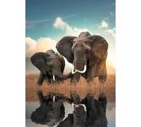Baibexing Peinture Murale Vintage Représentant Des Éléphants Et Des Animaux Sauvages, Coucher De Soleil, Affiches Et Impressions Sur Toile, Décoration D'Intérieur, Format A2 50X70Cm Sans Cadre