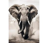 Baibexing Peinture Sur Toile Représentant Un Éléphant En Noir Et Blanc, Affiche, Art Mural, Décoration D'Intérieur 40X50Cm Sans Cadre