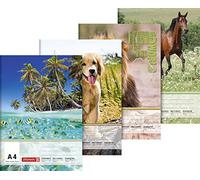 Baier schneider bloc &210 x 297 mm a4 100 g/m ² - 20 feuilles de papier à lettre animaux