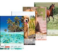 Baier schneider bloc &297 mm x 420 mm x a3, 100 g/m ² - 20 feuilles de papier à lettre animaux