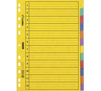 Baier Schneider File Index File Page dividers &12-Piece Blank Pressspankarton in