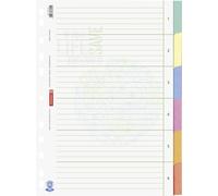 Baier Schneider File Index File Page dividers &Environment, Recycled Cardboard,