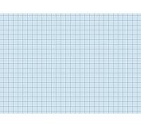 Baier schneider karteikarton &fiches unies 180 g/m ² format a6, pages à carreaux, bleu, emballé sous vide