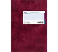 Baier & Schneider livre d'affaires, reliure flexible en plastique, rouge, carreaux, A5, 148 x 210 mm, 96 B