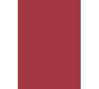 Baier & Schneider Lot de 10 feuilles de papier de soie Rouge 50 x 70 cm