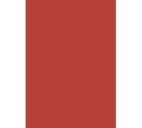 Baier Schneider & Lot de 10 feuilles de papier de soie Rouge vif 50 x 70 cm