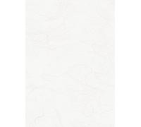 Baier & Schneider Lot de 25 feuilles de papier de soie japonaise 25 g/m² 500 x 700 mm