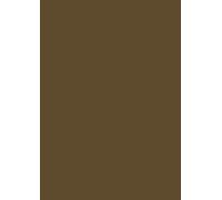 Baier Schneider & papier de soie 50 x 70 cm, Marron, 1 bougie : 5 feuilles, Lot de 10