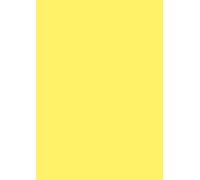 Baier schneider &papier multifonction-papier-format a4-mat - 160 g/m ²-jaune - 25 feuilles