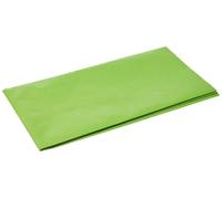 Baier Schneider & Silk Paper Lot de 10 feuilles de papier de soie Vert 50 x 70 cm