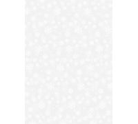 Baier & Schneider Transparent Transparent papier DIN A4 115 g/m², DIN A4 (21 x 31 cm), "