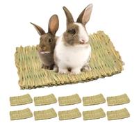BAIFULAI Lot de 10 tapis d'herbe pour petits animaux : tapis d'herbe naturel, sûr et comestible, tapis de lit tissé, tapis d'herbe naturelle tissé à la main pour hamsters, lapins, perroquets, cochons